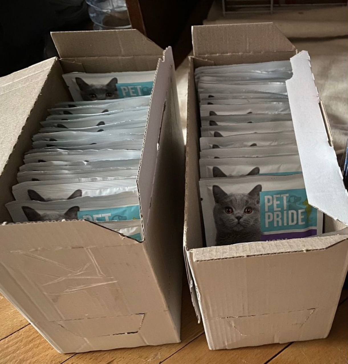 Влажный корм для взрослых стерилизованных кошек Pet Pride - Животные в Люберцы